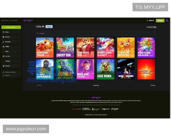 PG游戏平台全面升级，丰富游戏资源满足不同玩家的多样化需求